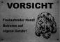 Preview: Edelstahl Warnschild Spinone Italiano VORSICHT Mein Haus mein Garten meine Familie